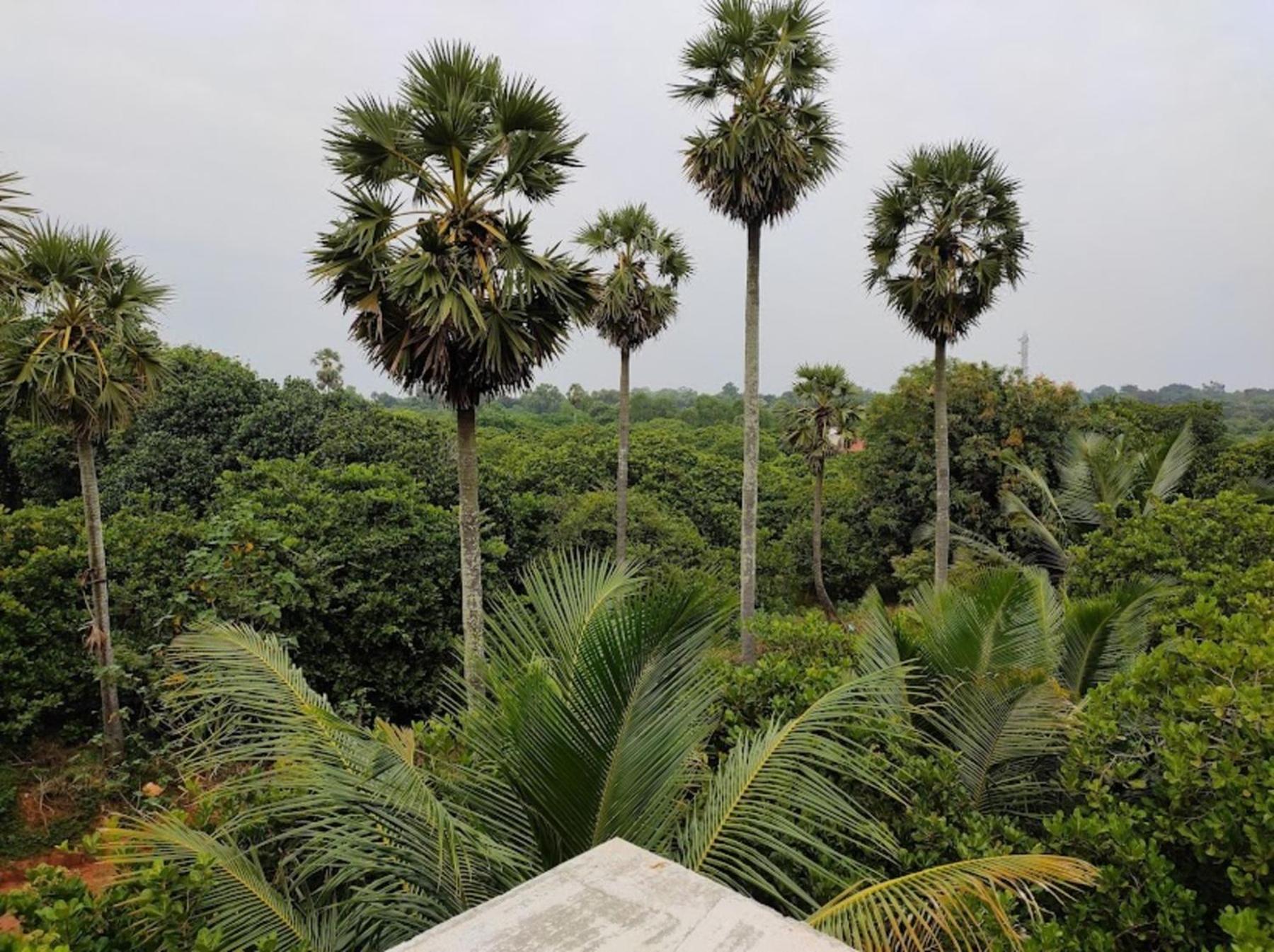 Travellers Crib Hotel Auroville Exterior photo