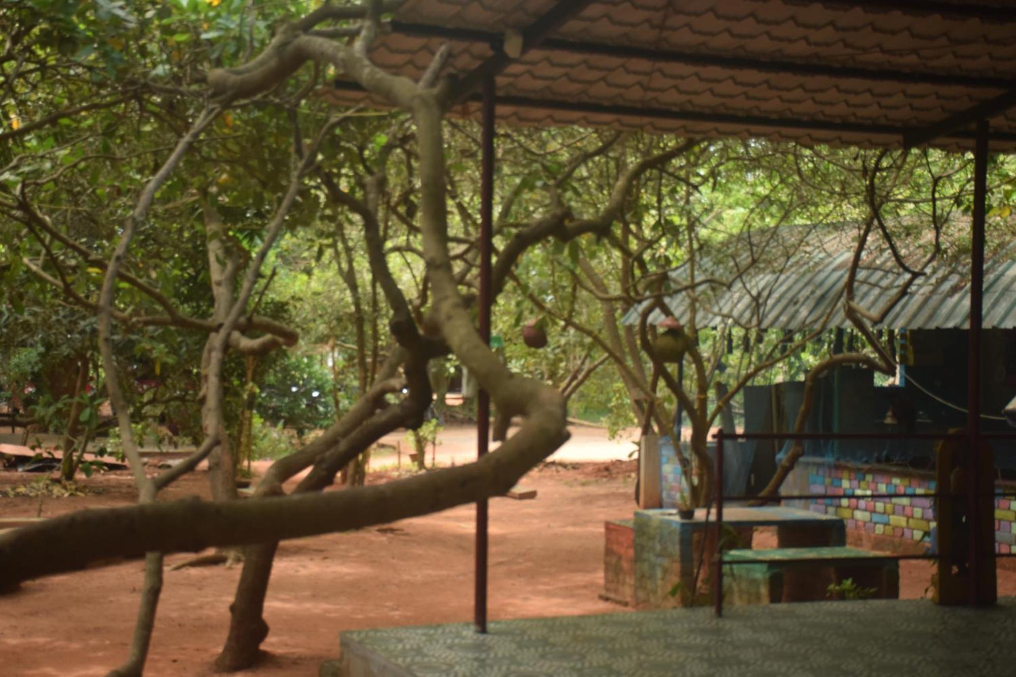 Travellers Crib Hotel Auroville Exterior photo